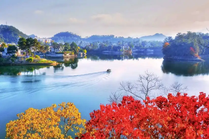 千岛湖秋色红叶岸边湖面小船