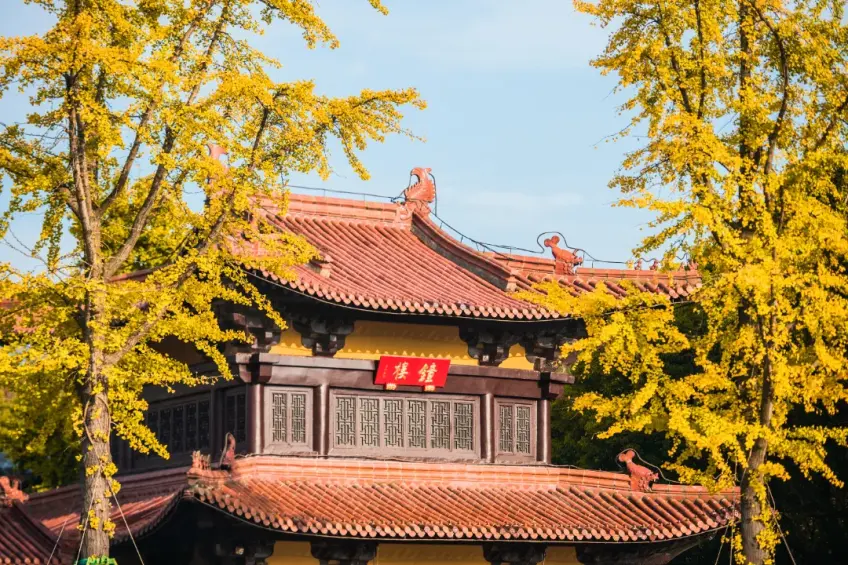 祥符禅寺钟楼秋日银杏黄叶环绕