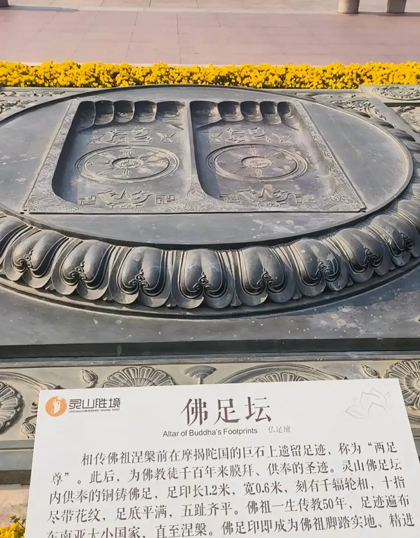 灵山佛足坛青铜脚印浮雕与黄花说明牌