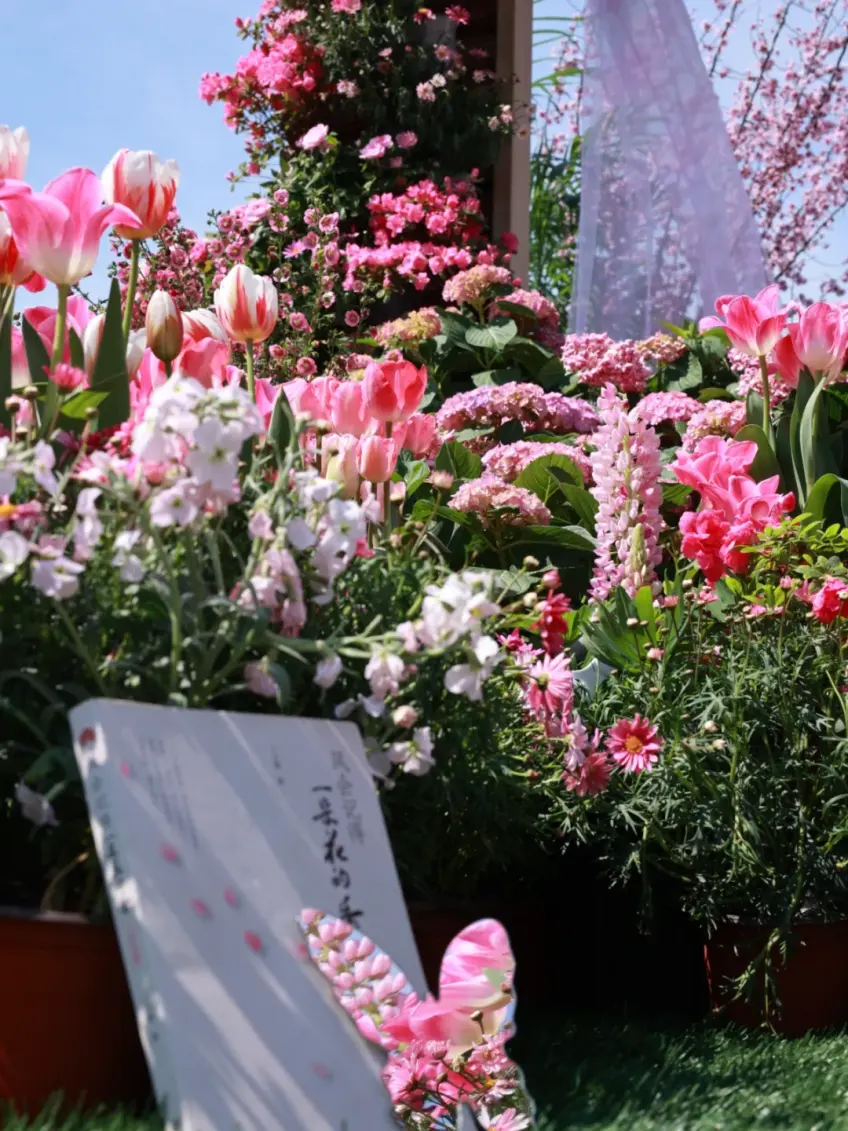 灵山春日盆栽组合花墙展陈