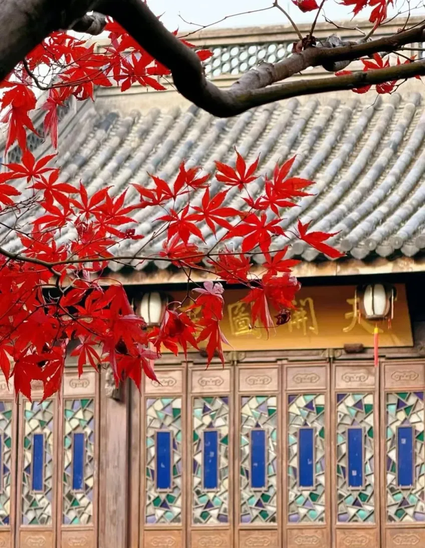 红枫前景下彩玻木门与灰瓦屋檐