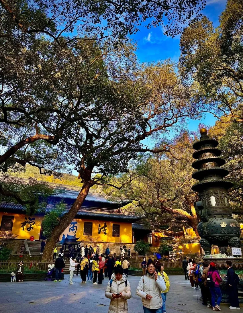 法雨禅寺院内香炉黄墙与古树