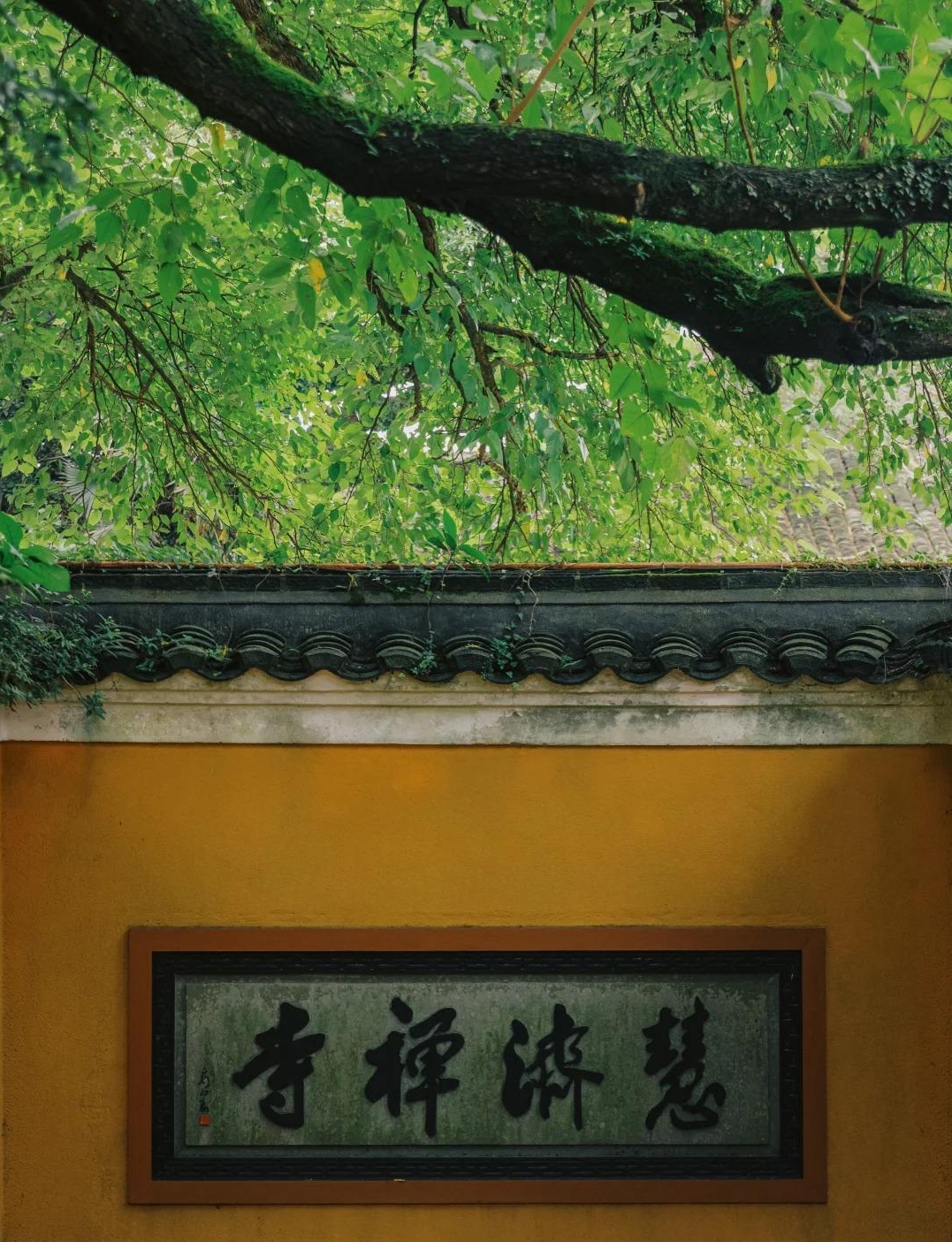 慧濟寺
