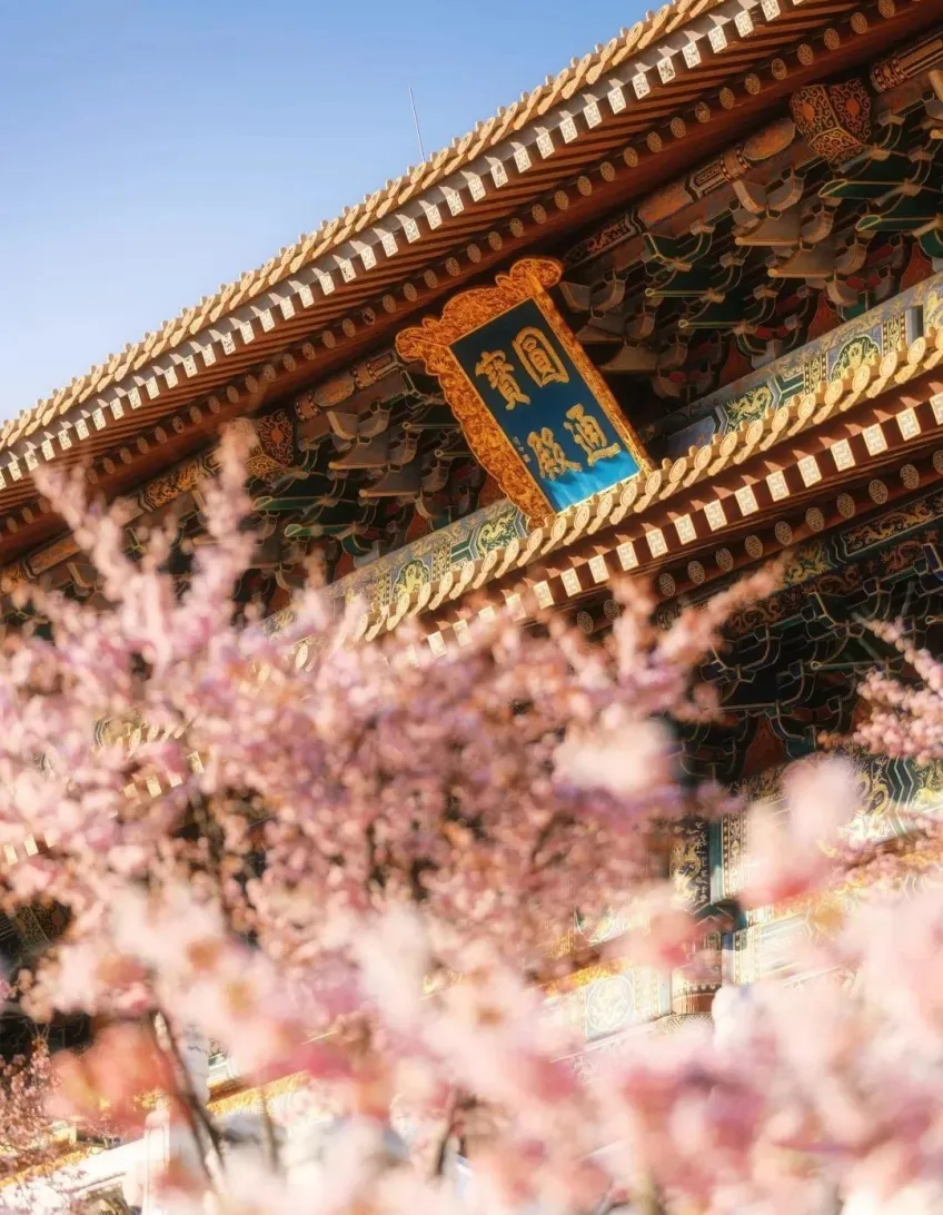普济寺圆通殿匾额与春花外檐