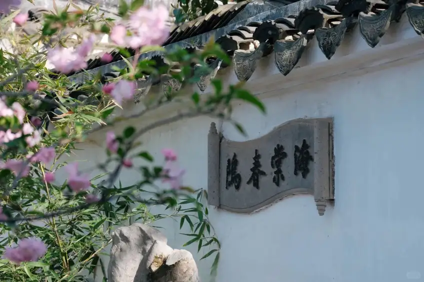 海棠春坞石匾与粉花竹枝日间近景