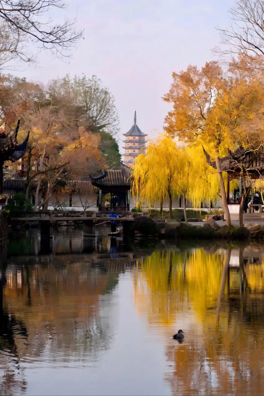 拙政园秋色池桥与远借北寺塔同框