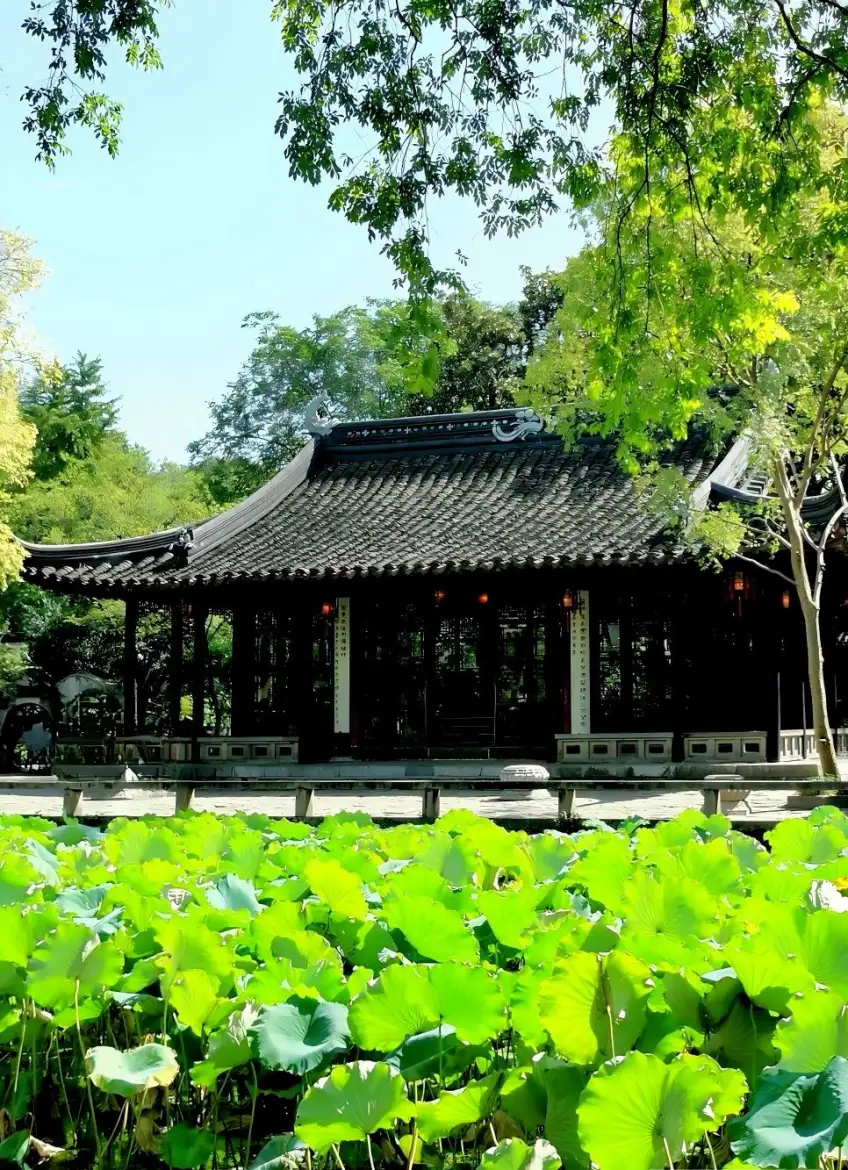 远香堂前荷塘与亭桥日间开阔水面
