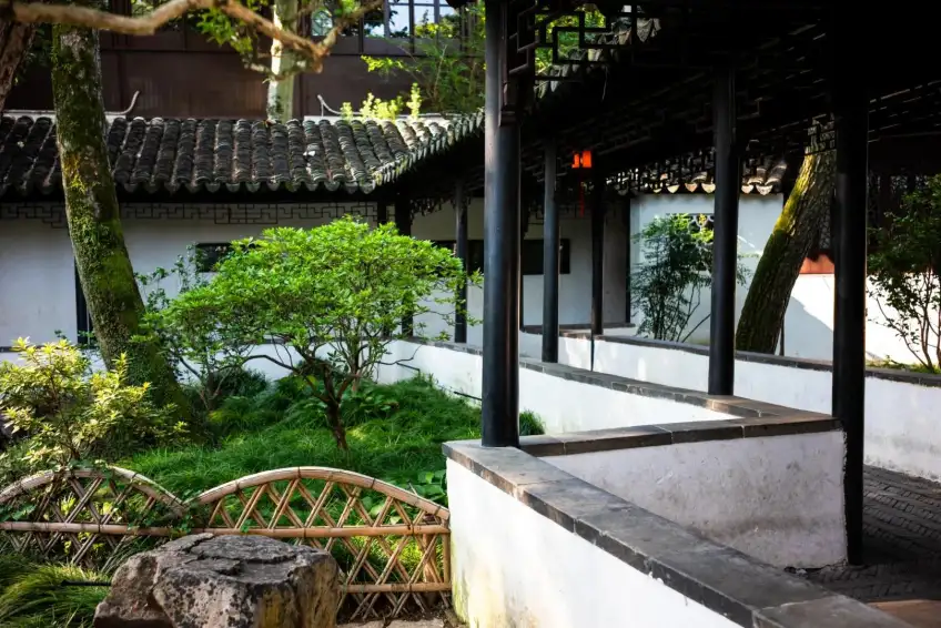 拙政园曲廊白墙与绿树苔石