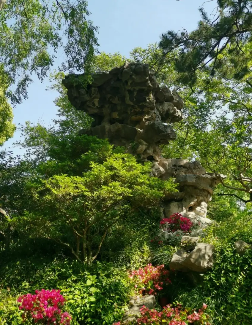 拙政园入口太湖石假山与杜鹃绿植