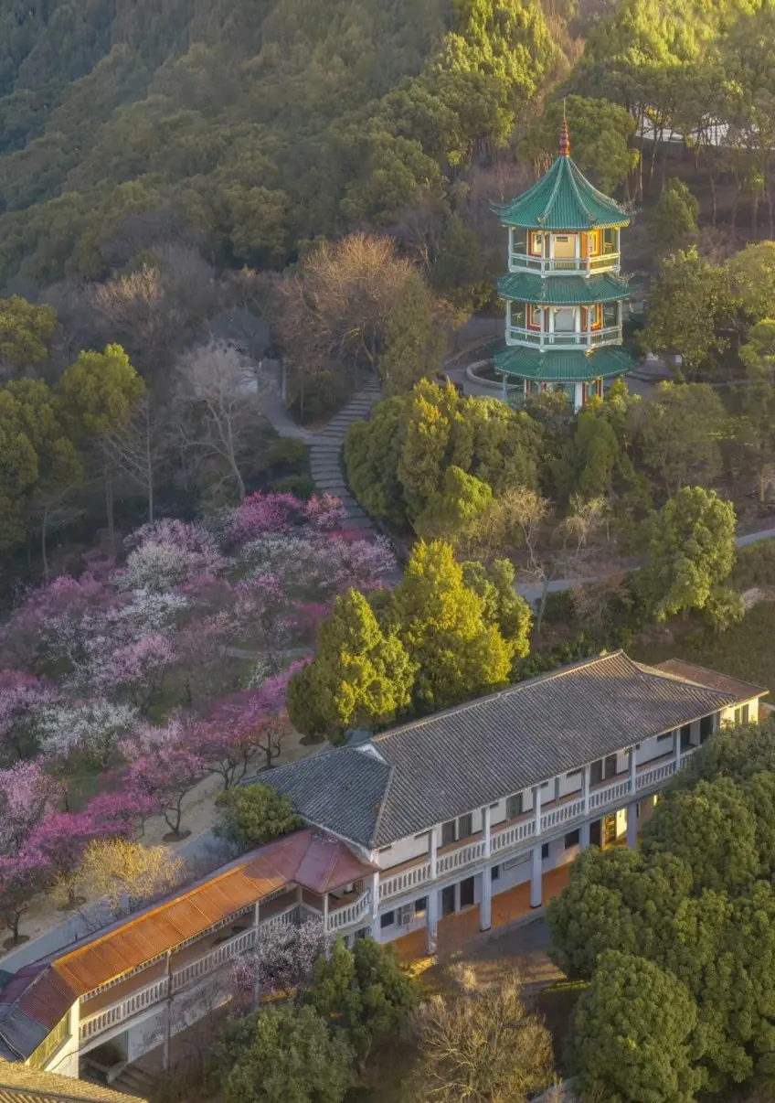 念劬塔远景与梅林建筑群夕照俯瞰
