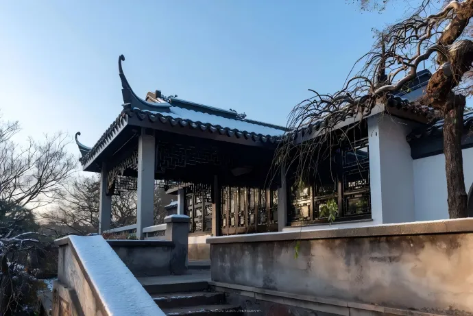 梅园风景