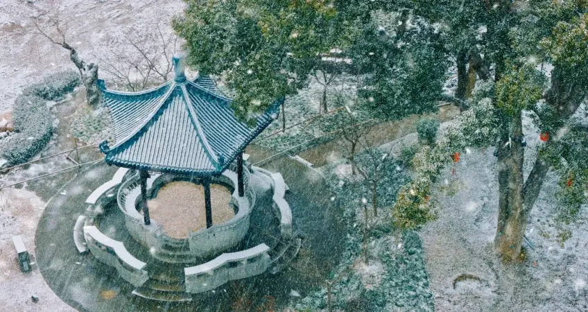 梅园雪中蓝瓦亭台与常绿树银装