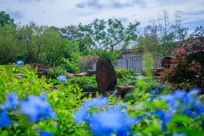 荣氏梅园洗心池
