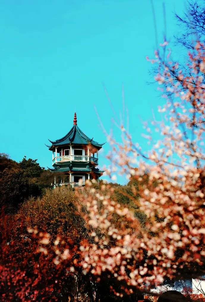 无锡梅园