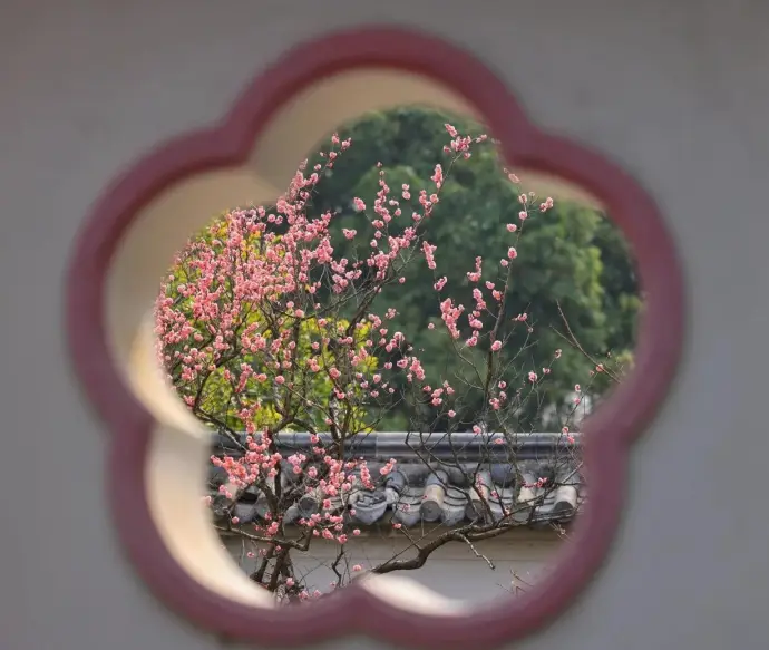 无锡荣氏梅园