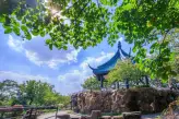 【锡宁访古3天2晚】鼋头渚+梅园+南长街+惠山古镇+南京博物院+牛首山文化旅游区