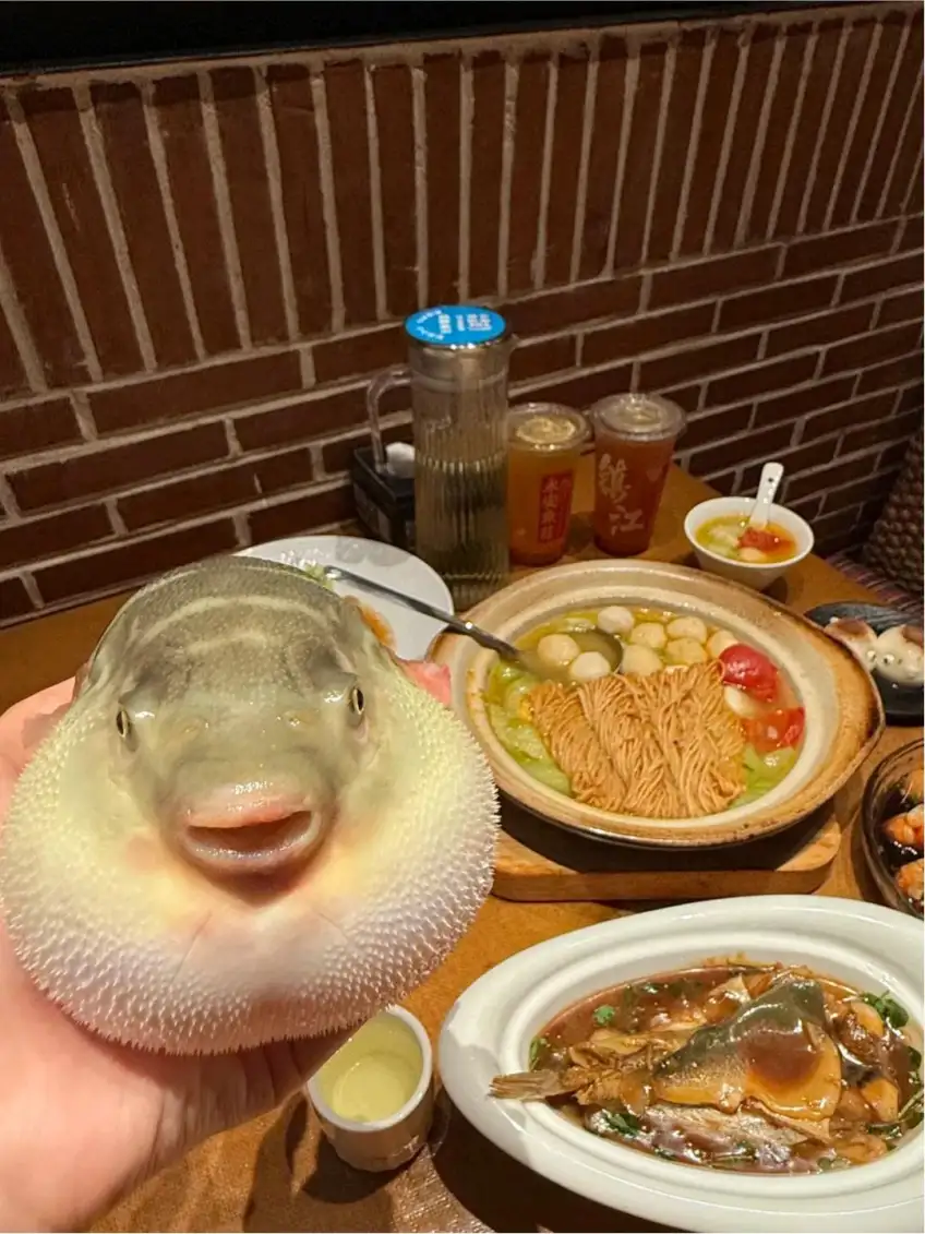 永安鱼庄河豚菜肴盘装近景竖图