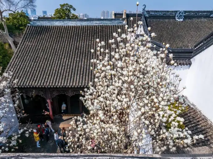 狮子林春