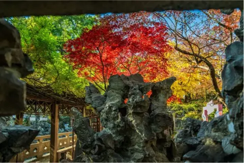 苏州狮子林攻略:假山迷宫怎么走,真趣亭与路线一次说清