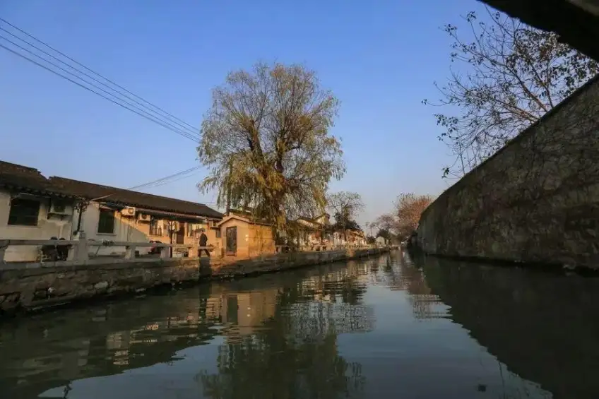 平江路柳树石栏与临河白墙巷景