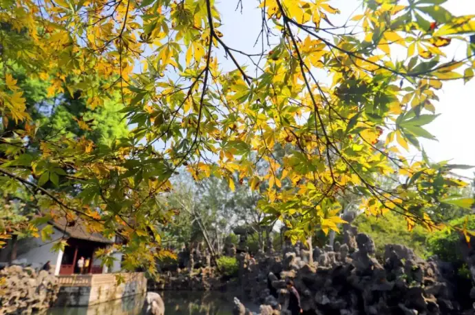 狮子林