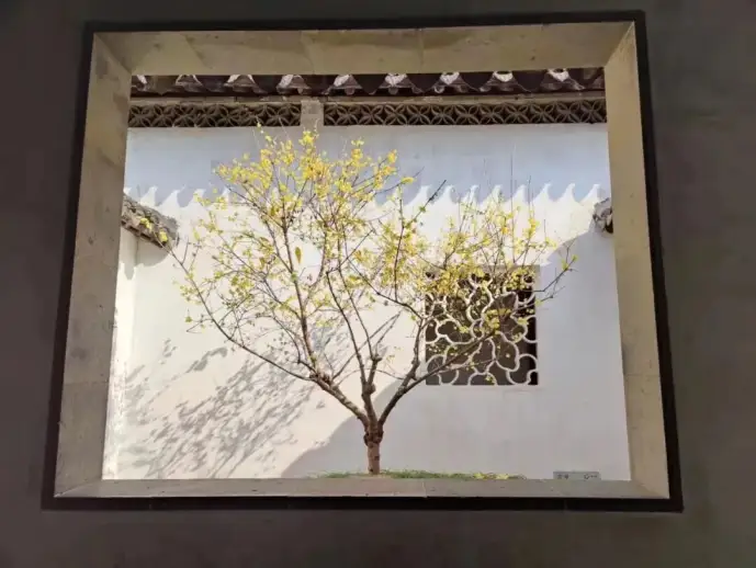 狮子林