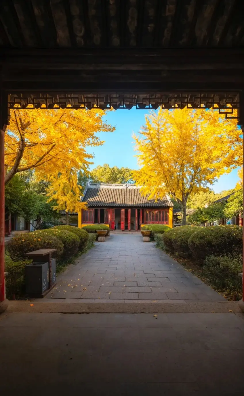 盤門景區門框俯看銀杏黃葉與黃牆庭院示意