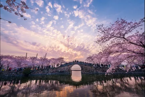2026最新鼋头渚旅游攻略,鼋头渚门票、交通、美食推荐,一篇看懂!