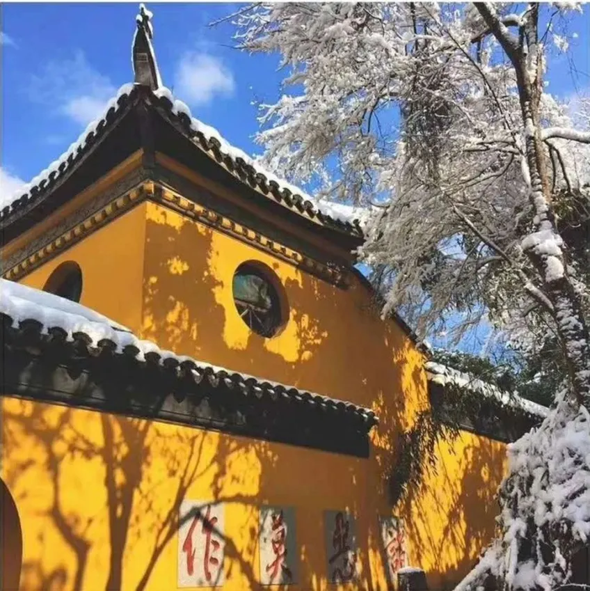鼋头渚广福禅寺雪中黄墙与雪枝