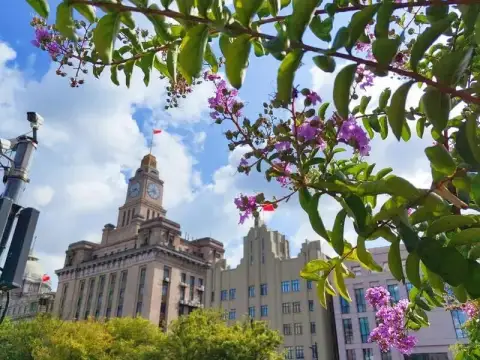 带娃来旅游好迷茫?这条上海一日游亲子游玩路线:让你带娃旅行也轻松