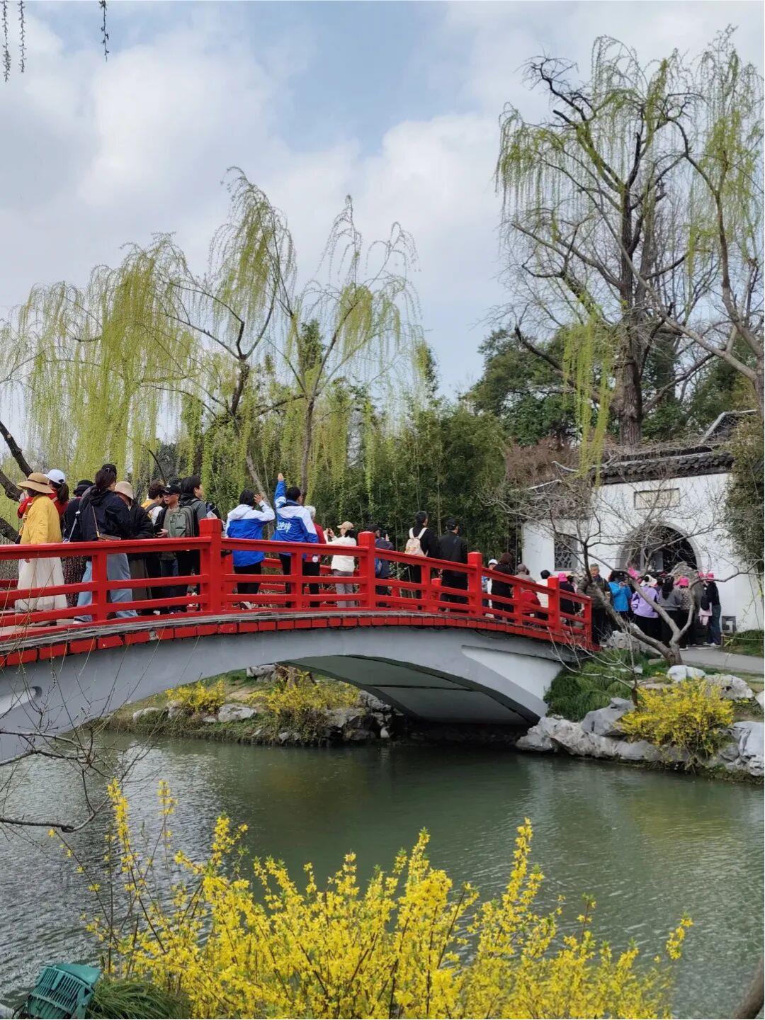 小金山景觀