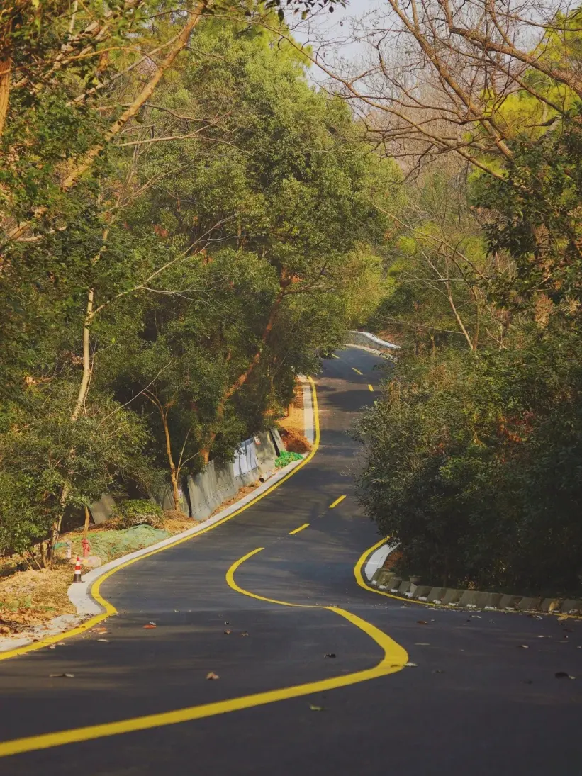紫金山林荫登山步道竖向景