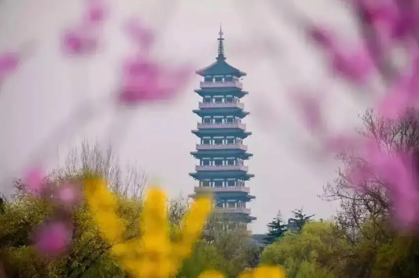 春花前景框出大明寺栖灵塔