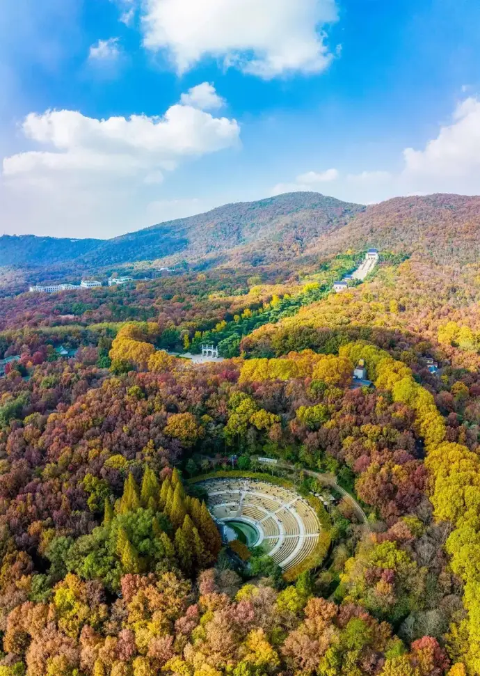 钟山全景