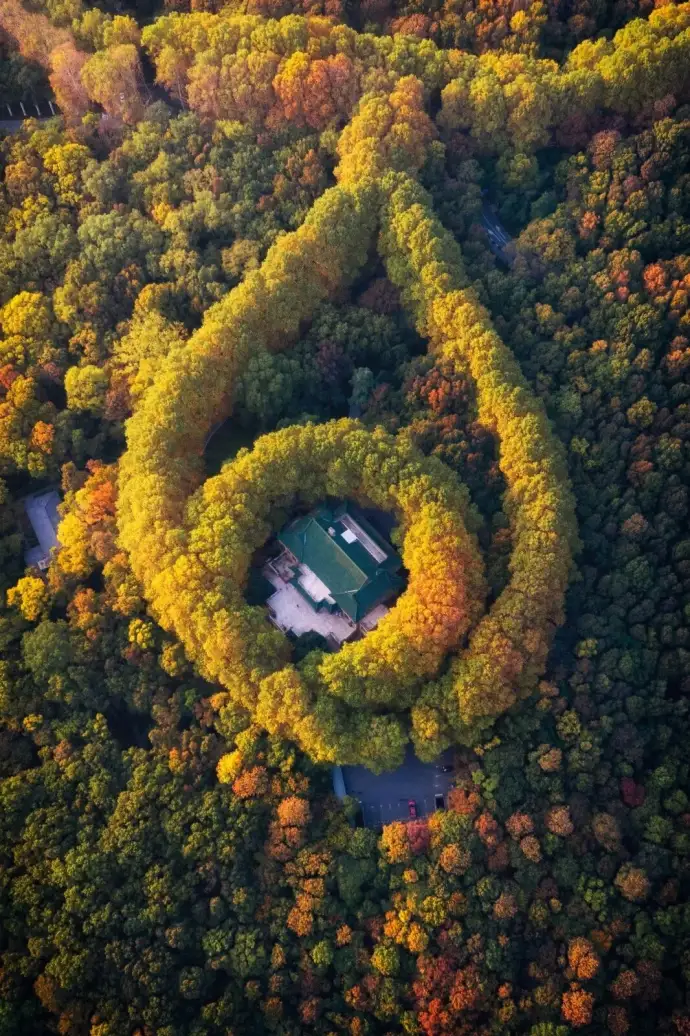 美龄宫全景