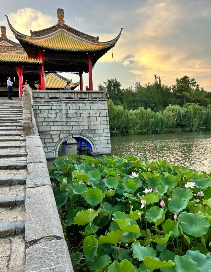 瘦西湖五亭桥夏荷竖图
