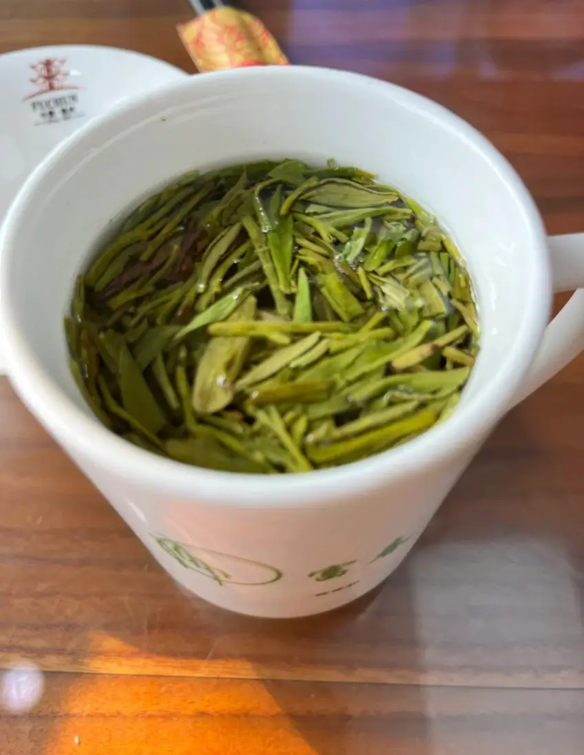 富春茶社白瓷杯中魁龙珠绿茶特写