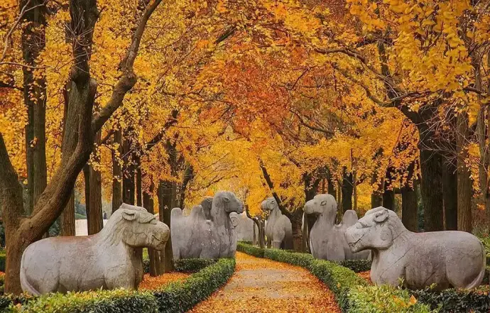 秋天的石象路
