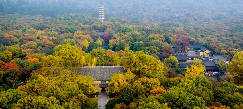 灵谷景区山林连绵远眺全景