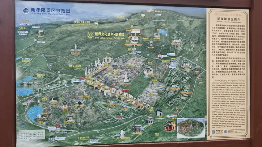 明孝陵景區導覽示意圖