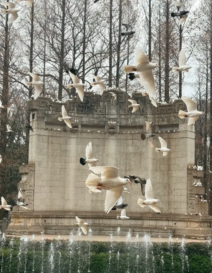 音乐台
