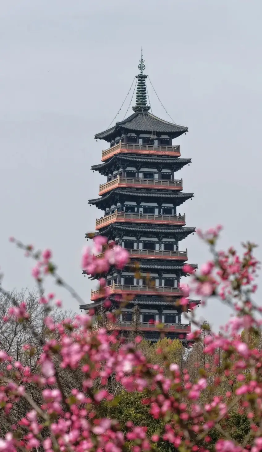 春花前景中的栖灵塔竖图示意