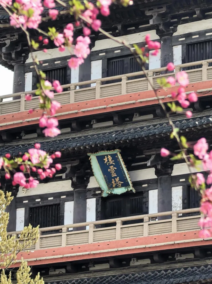 栖灵塔金字匾额与春花示意
