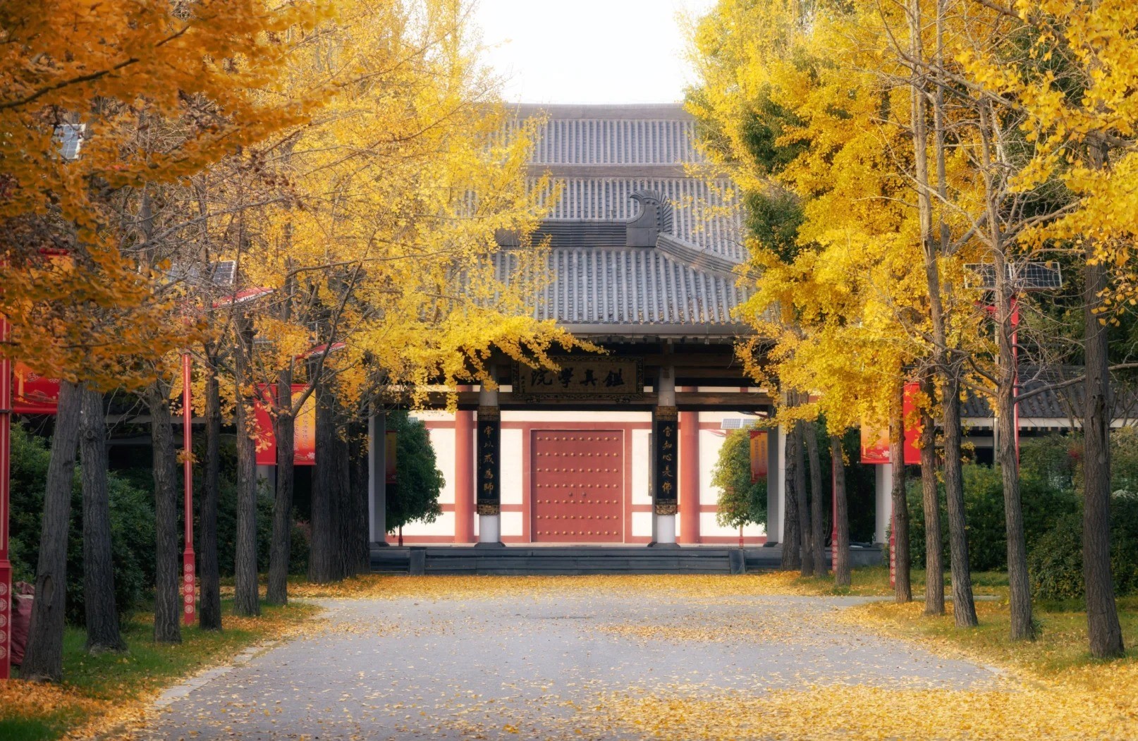 扬州大明寺四季逛法全攻略：春夏秋冬看不同风景，逛千年古建尝美食