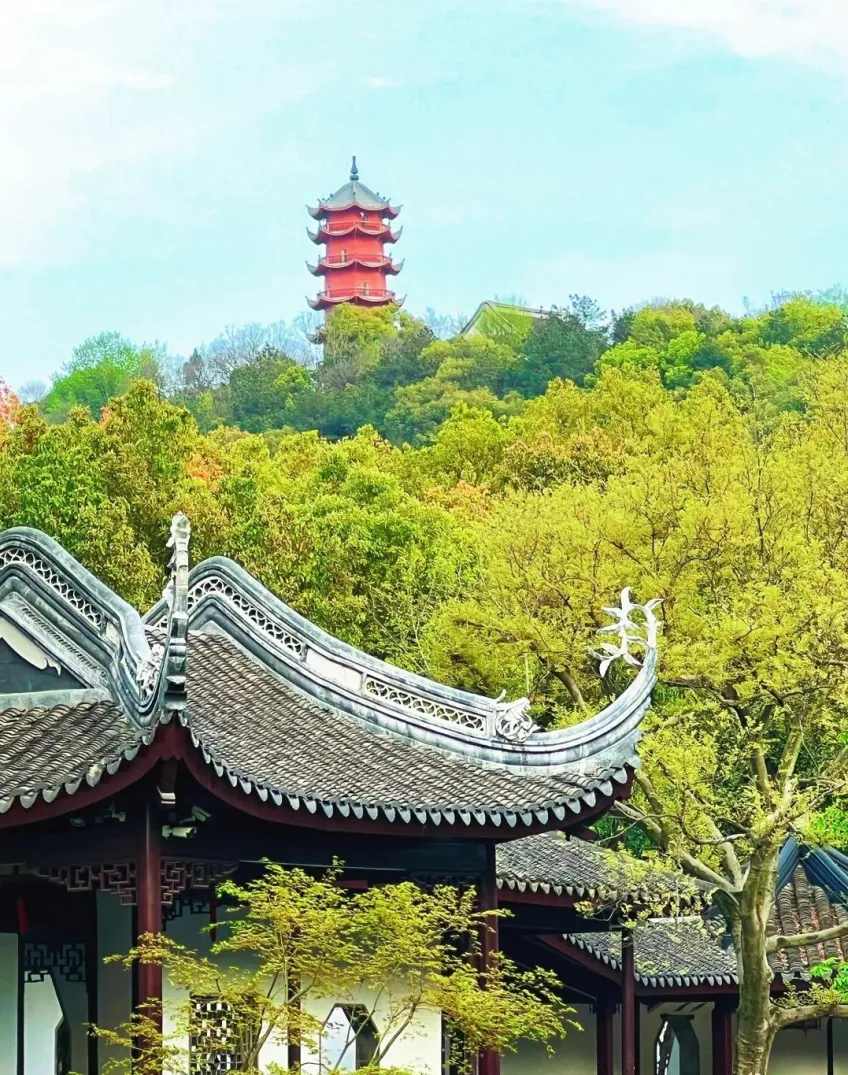 竖向示意：惠山龙光塔远景与近处廊亭灰瓦