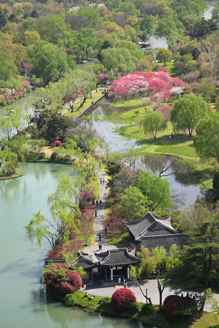 高處俯瞰揚州湖園春柳粉花與遊徑