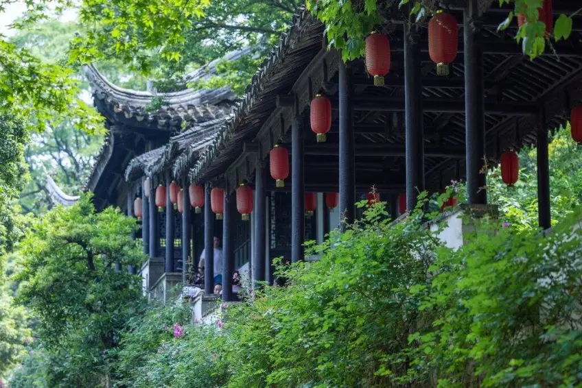惠山古镇廊亭红灯笼与绿篱景观