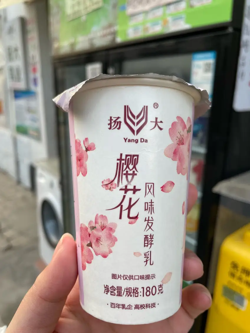 扬州扬大樱花风味发酵乳纸杯
