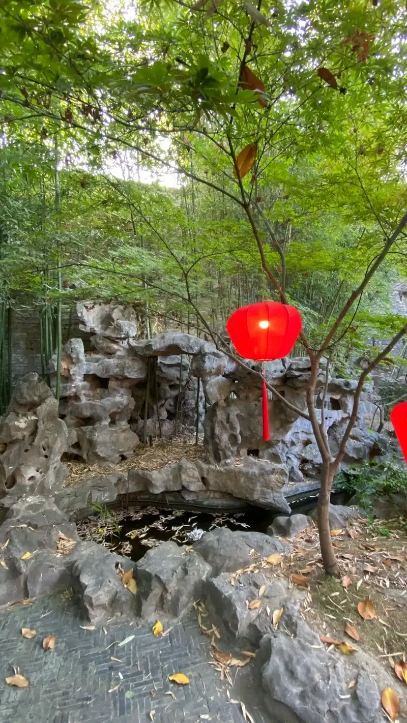 個園太湖石池與紅燈籠豎圖