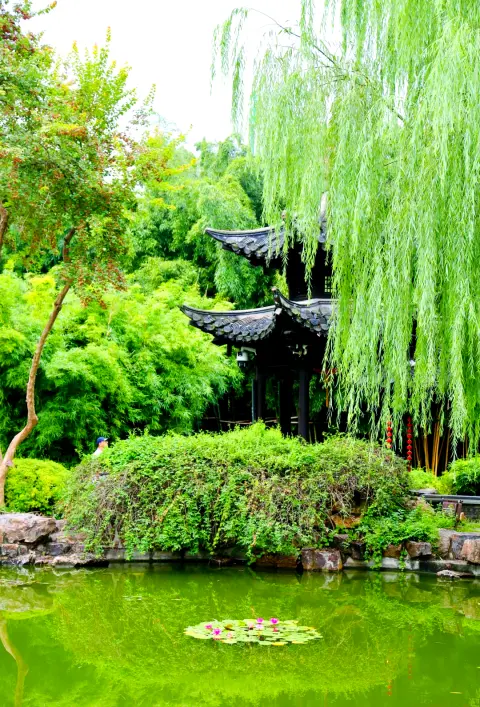 扬州一日游攻略(扬州个园+东关街),从万竹林四季假山到百年老店,一天刚刚好